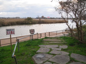 dorublog | 新潟女池にある憩いの場 鳥屋野潟公園 niigata toyano park