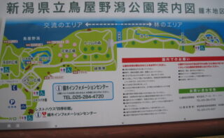 dorublog | 新潟女池にある憩いの場 鳥屋野潟公園 niigata toyano park