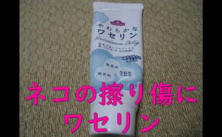 dorublog | 猫のすり傷にはワセリンが効く 猫のケガ、出血の応急処置 外傷の治療 湿潤療法