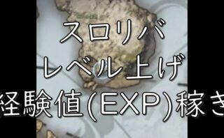 dorublog | スロリバ THRONE AND LIBERTY レベル上げ 経験値稼ぎ方法 探査チャプター レベル 経験値(EXP)が足りない時の対処法