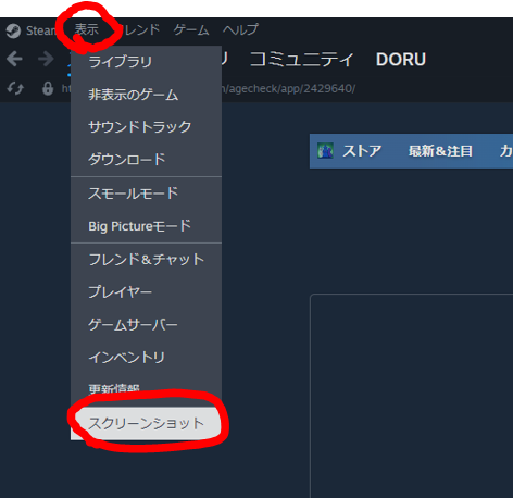 dorublog | スロリバ THRONE AND LIBERTY PC版のフォトモード 保存先はどのフォルダー？ スクリーンショット撮影 Steam